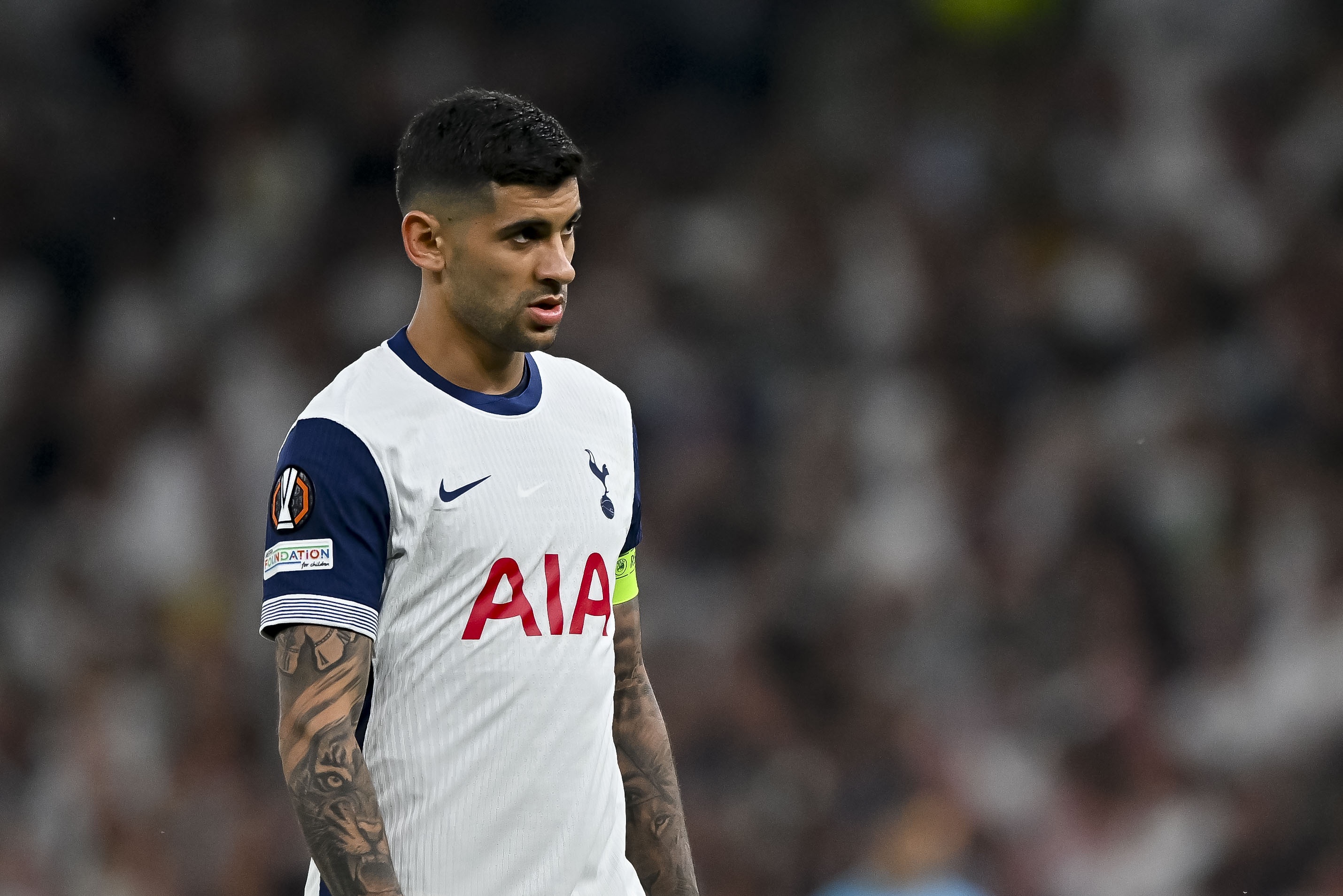 也没有任何, span, span 也没有任何, span, span