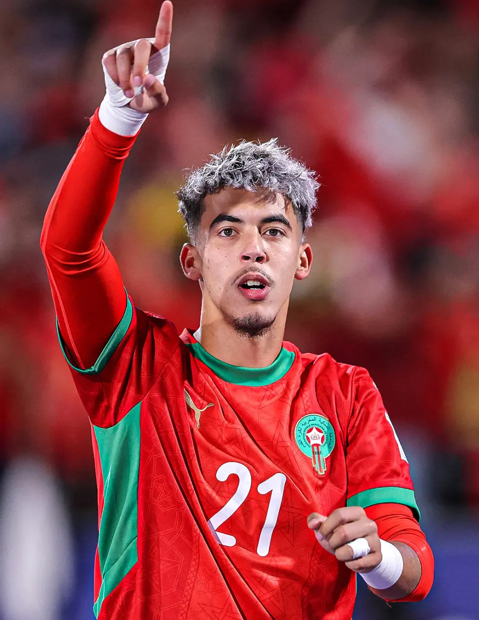 廷很快进入 廷很快进入