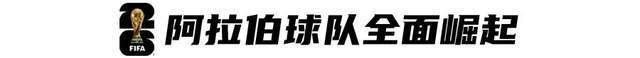这届世界杯, 靠卡塔尔占, 届世界杯尼
